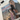 Bruce Springsteen Issue #341 August 2025