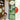 Vinyl LP Porcelain