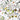 Led Zeppelin - Led Zeppelin III