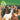 Beach Boys - Pet Sounds