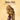 Aqualung Live (2025 Remaster)