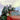 Various - Kaiso Power: Sound Revolution In Trinidad