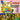 Various - The Simpsons: Songs in the Key of Springfield (Original Music from the Television Series)